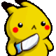 hs_pikasinir