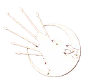6ok
