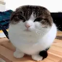 enemy