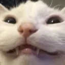 hihihi