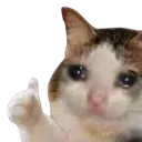 catok