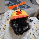 mutlu_kedi