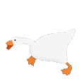honking