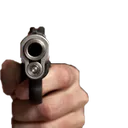 gun2