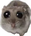 Ltfen