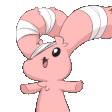 6026bunnycrazy