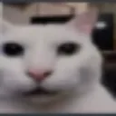 por