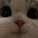 yey