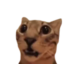 aaa