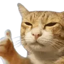 tm