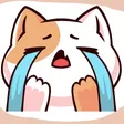 cry