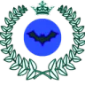 maviyetkili