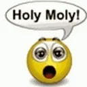 holymolu