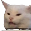 arenekarsi