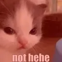 nothehe