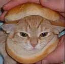 rx_kedi