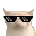coolbruhcat