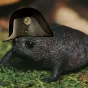 napoleon_kurbaga