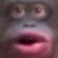 sds