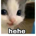 hehe