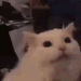 aaa