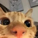 1222316023152246824