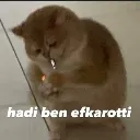 1efkarotti
