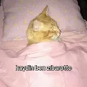 1zbarotti