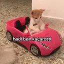 1kaarotti