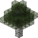 ladinagaci