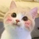 imperial_emoji