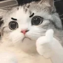 imperial_emoji