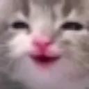imperial_emoji