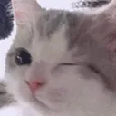 imperial_emoji