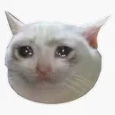 emoji_9