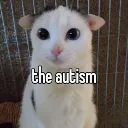 autism