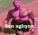 shuyonsenaglinknk