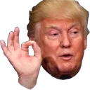trumpapproves