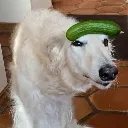 kopke