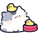 ducky_kitten