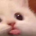 z_catBlep