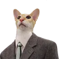 catMan