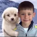 xd