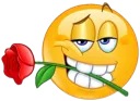 jim_rizz