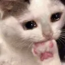 aboovv