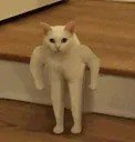 hayirdirkrds
