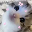 yaa