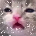 ha