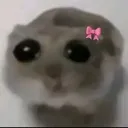 rc_sizofrenlusia