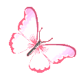 5841pinkbutterfly